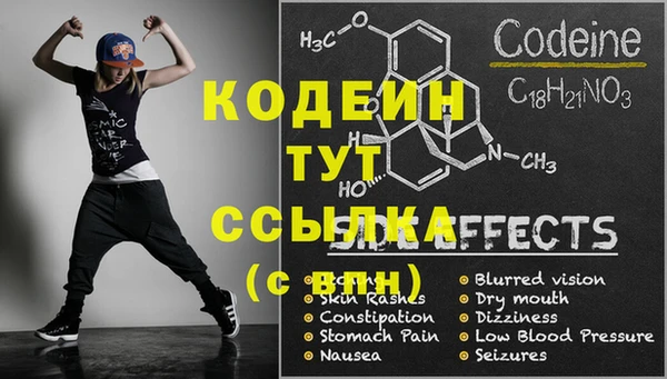 сатива Богородицк
