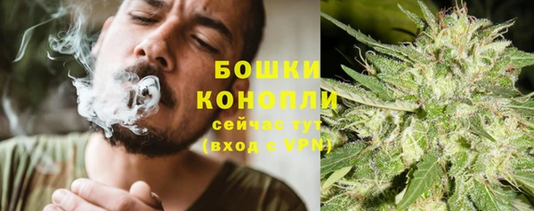 хмурый Богородск