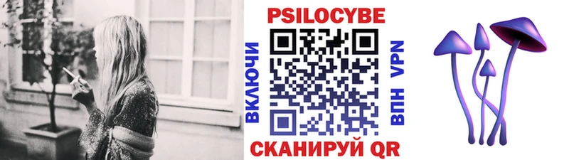 Галлюциногенные грибы Psilocybe  Белокуриха 